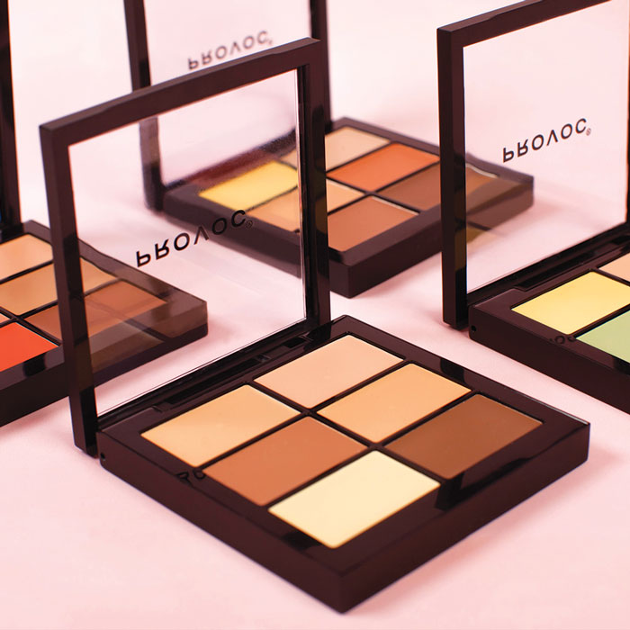 PROVOC CCC Contour Correct Conceal Palette