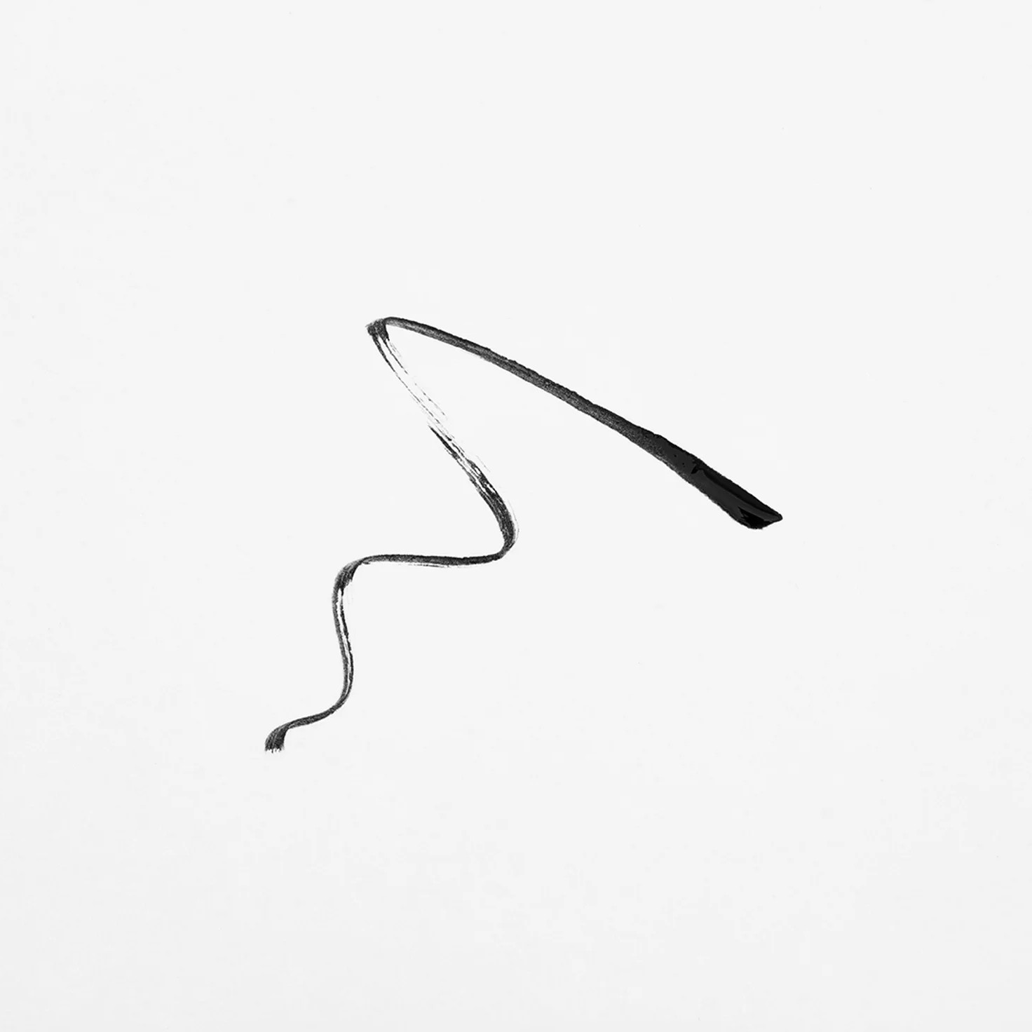 PROVOC MICRO TIP Dip Liquid Eyeliner 01 Black