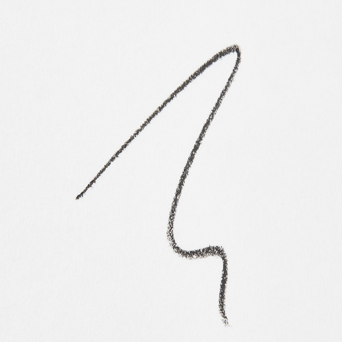 PROVOC SVELTE Precision Tip Brow Pen (PROVOC SVELTE Precision Tip Brow Pen 04 Noir [45272004])